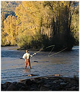 Fly Fishing