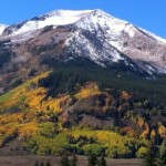 Fall colors